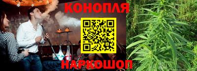 гашик Ирбит