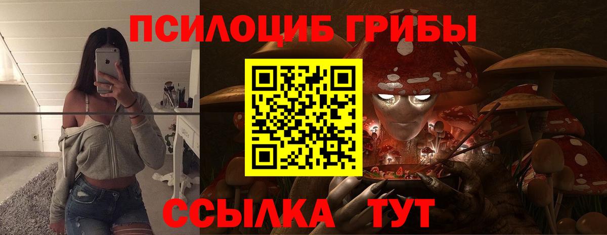 Псилоцибиновые грибы мицелий  Вход с VPN  Грозный 